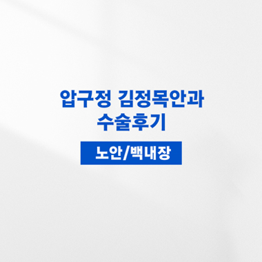 수술후기1